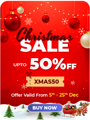 christmas offer sale
