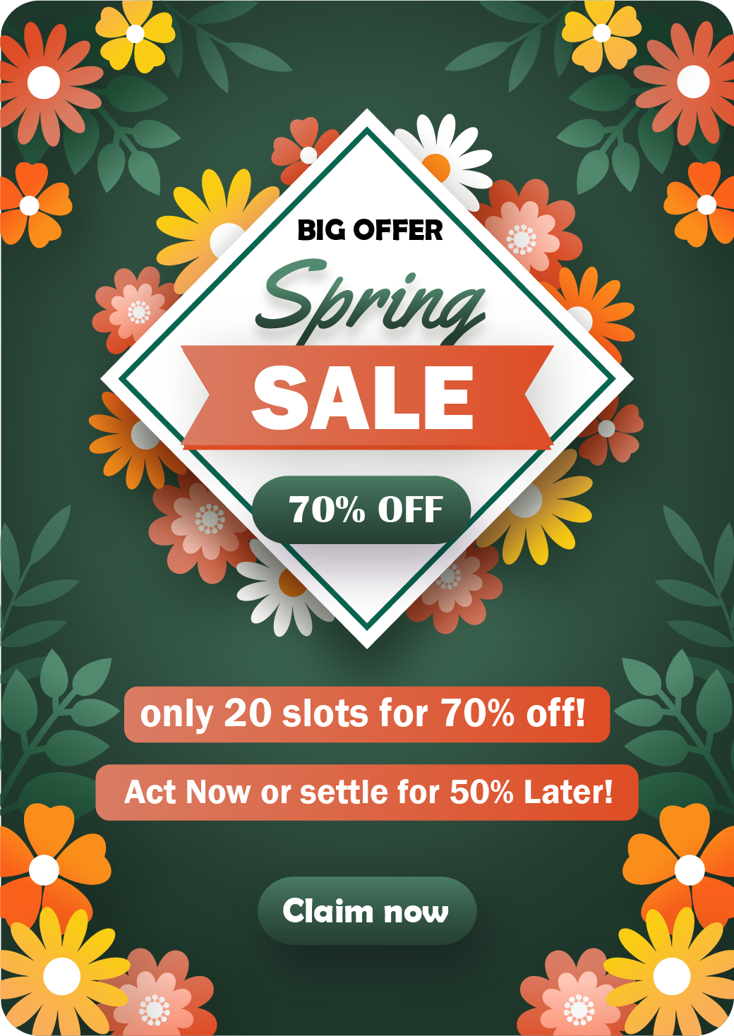 Spring Sale 70% off