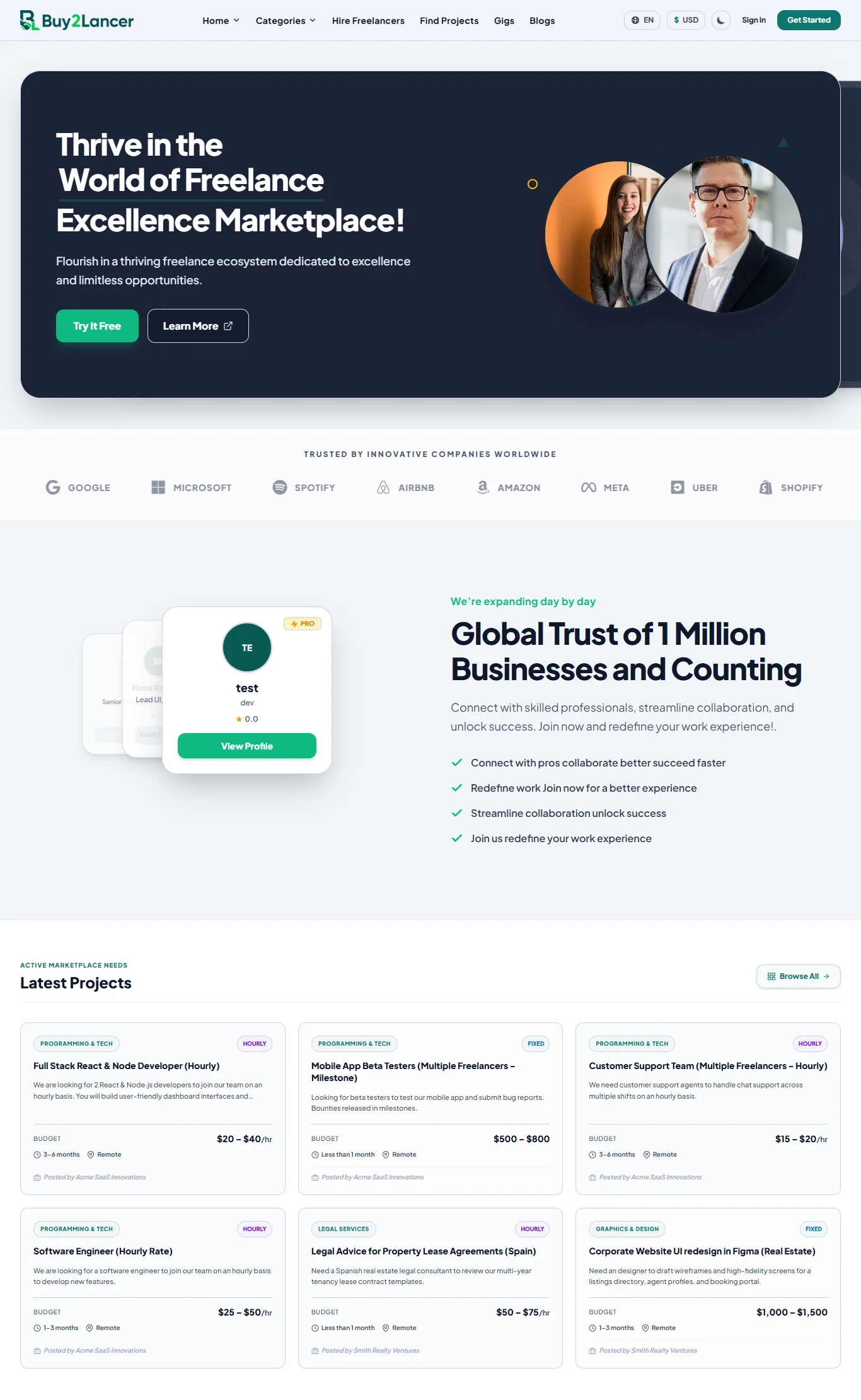 freelancer-layout-3